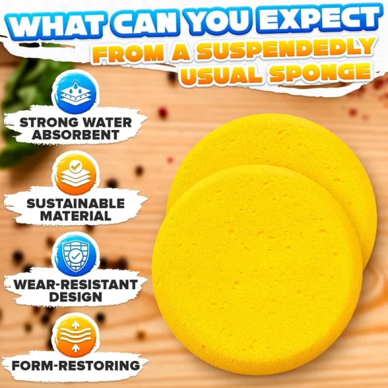 Round Pottery Sponges, 12 Pack