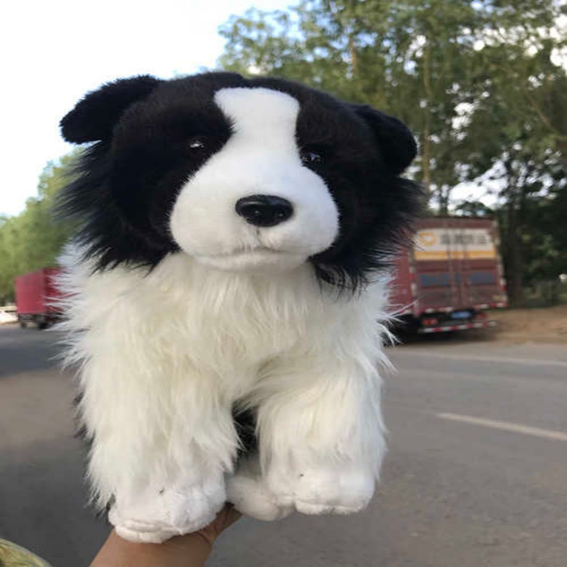 Realistic Border Collie Plush โ photo 3