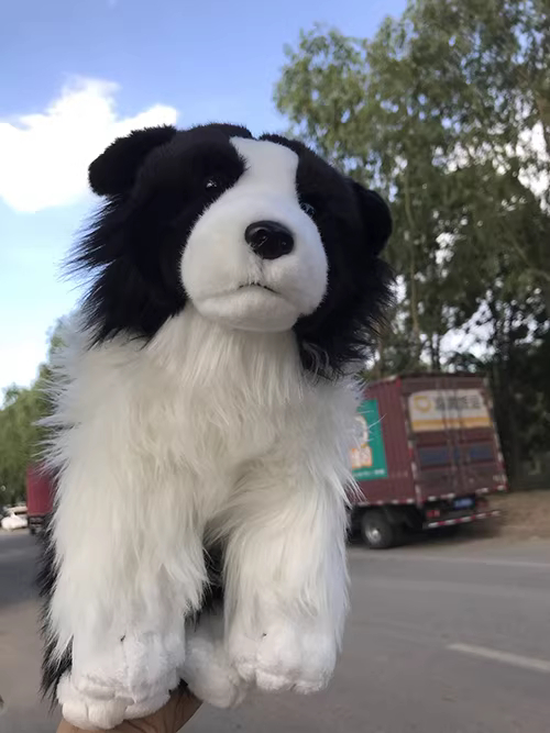 Realistic Border Collie Plush โ photo 4