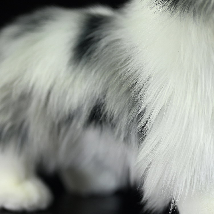 Realistic Merle Collie Dog Plush โ photo 2