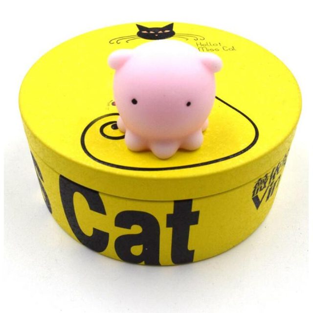 Pink Piggy Mochi Squishy with Gift Box