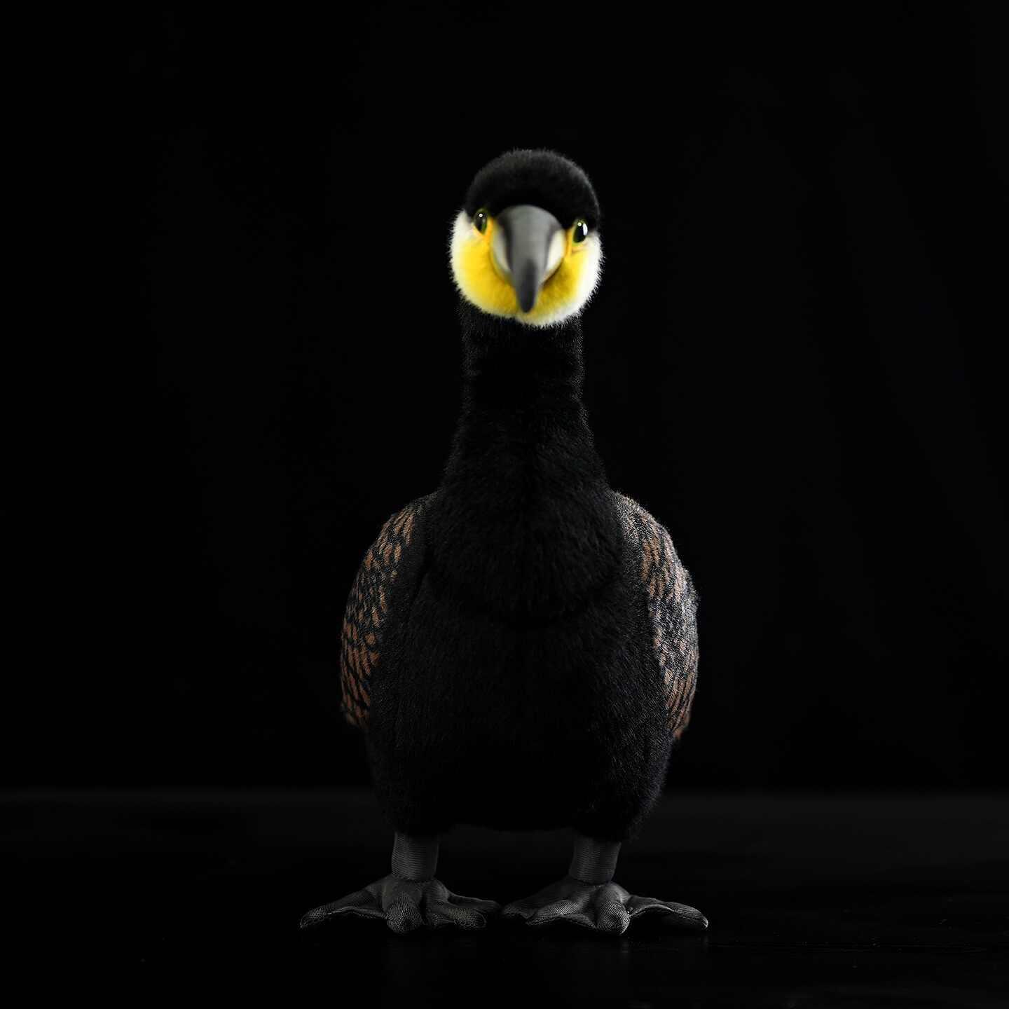 Realistic Cormorant Seabird Plush — photo 5