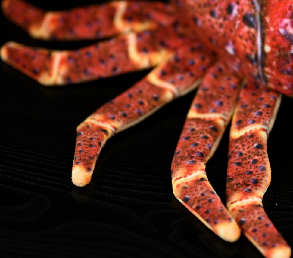 Realistic Spiny Lobster Plush — photo 3