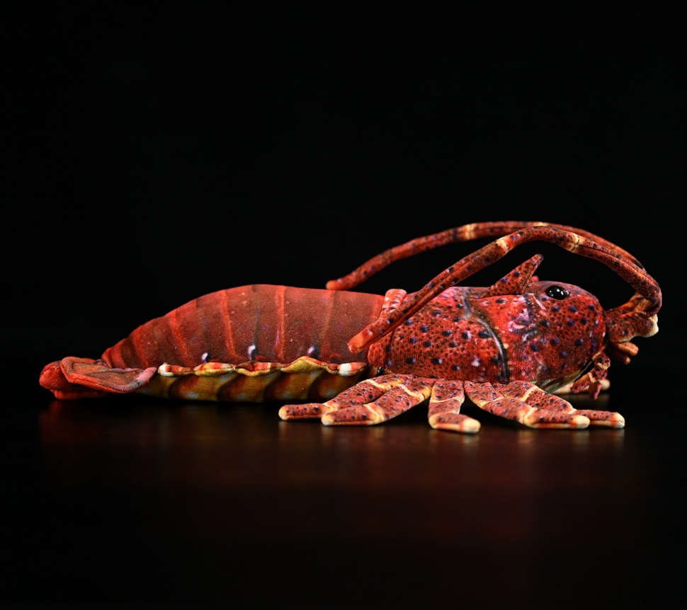 Realistic Spiny Lobster Plush — photo 4