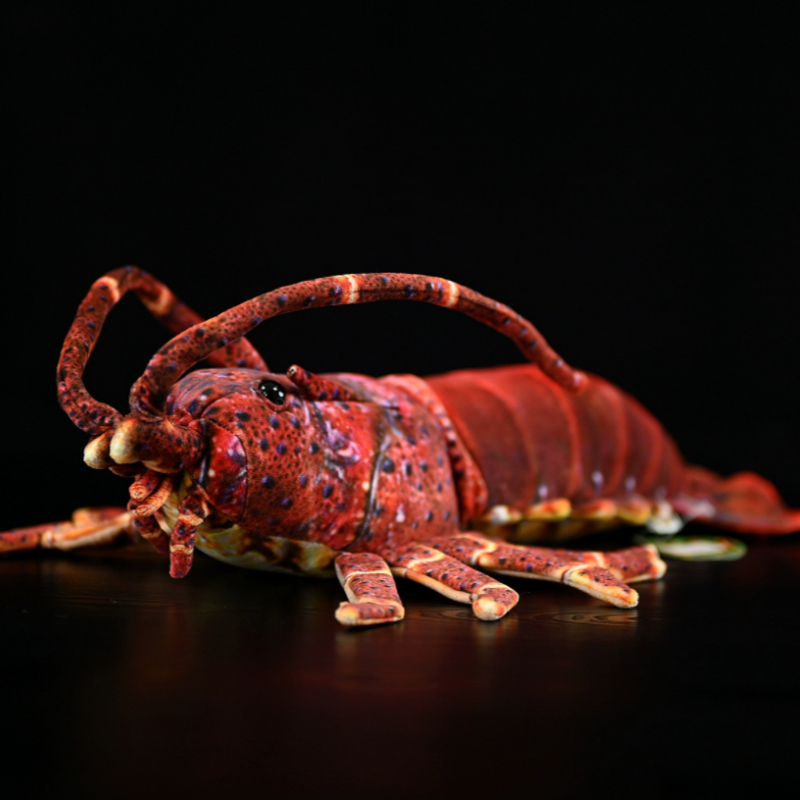 Realistic Spiny Lobster Plush — photo 5
