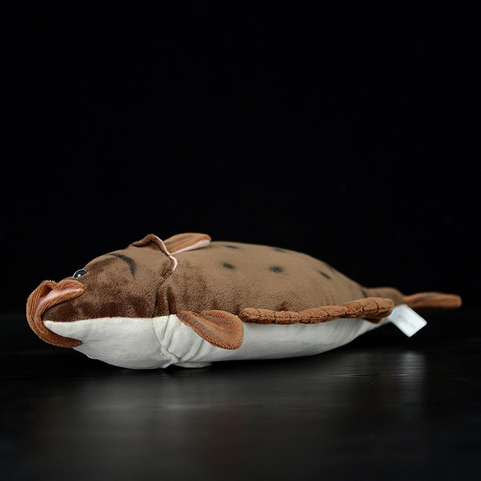 Realistic Flounder Flatfish Plush โ photo 2
