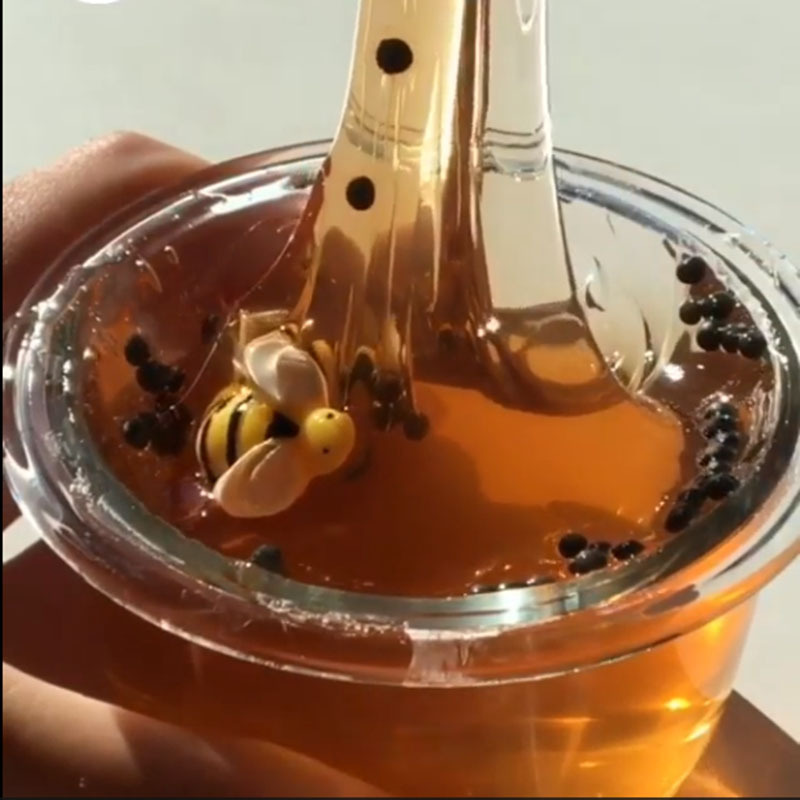 Honey Bee Clear Slime with Charm