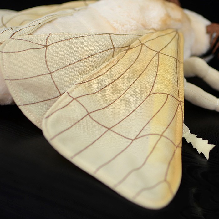 Fluffy Silkmoth Cuddle Plush โ photo 4