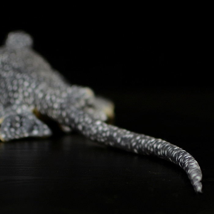 Spotty Stingray Realistic Plush โ photo 3