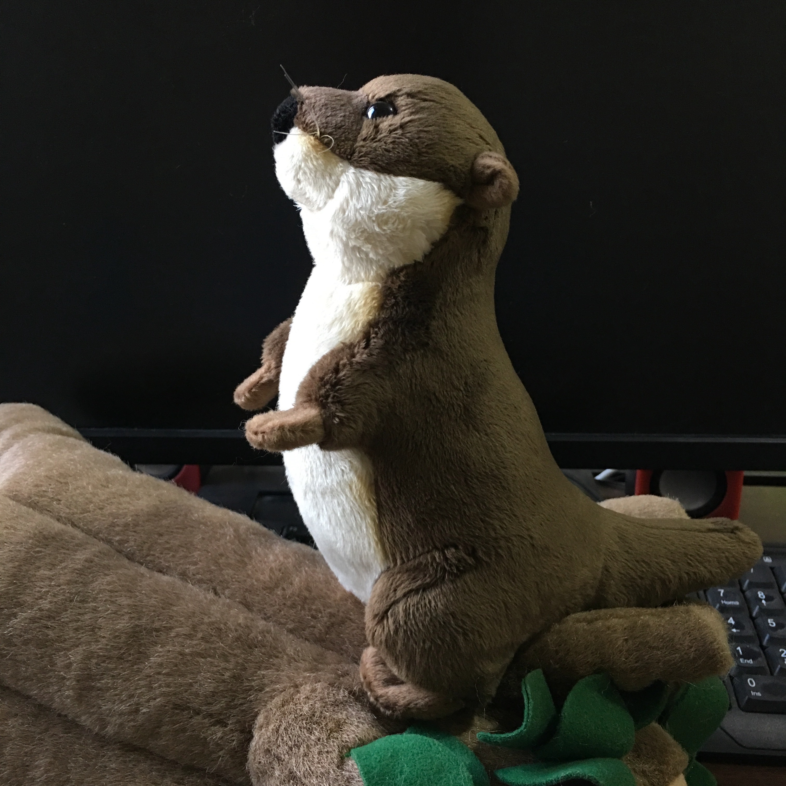 Realistic River Otter Plush โ photo 2