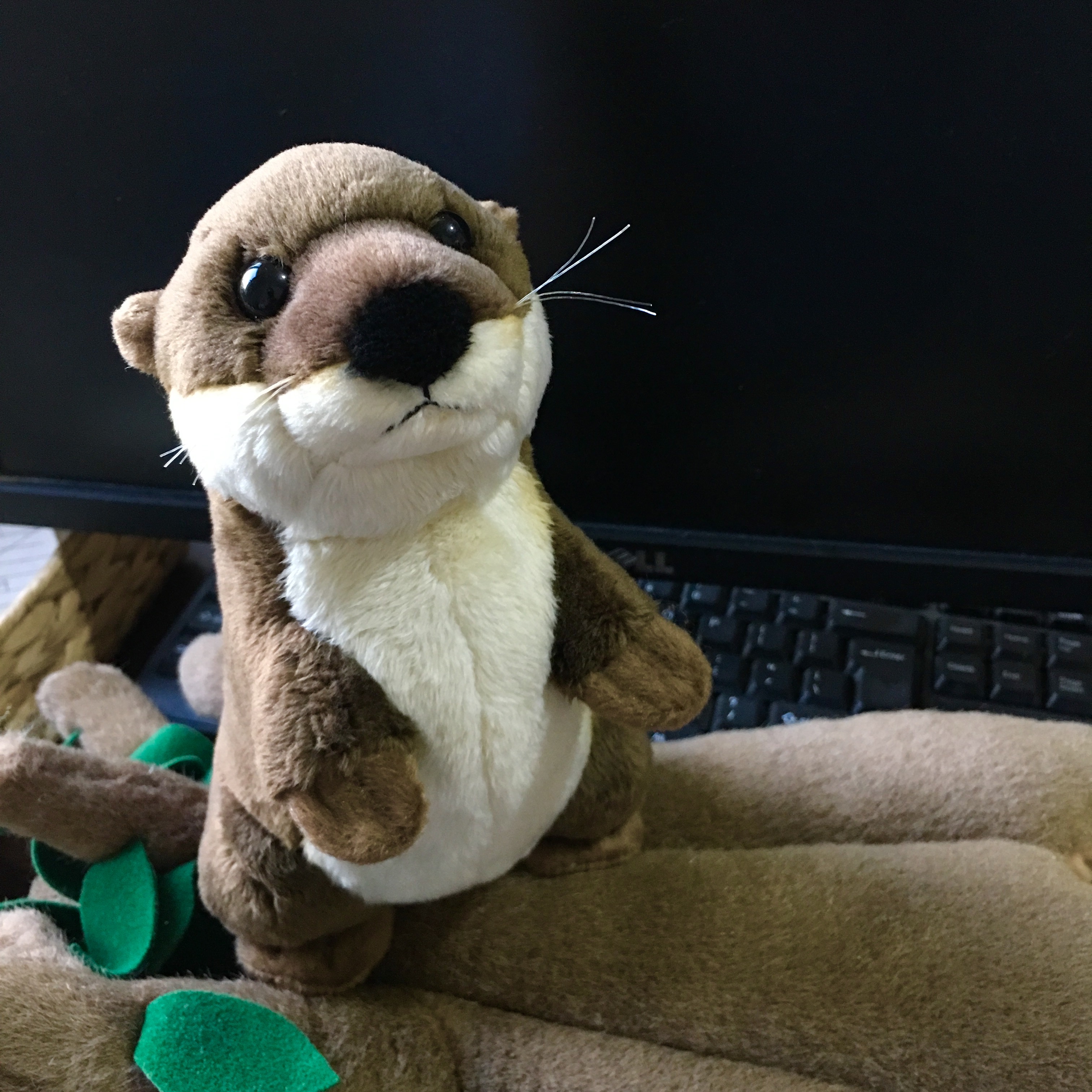 Realistic River Otter Plush โ photo 5