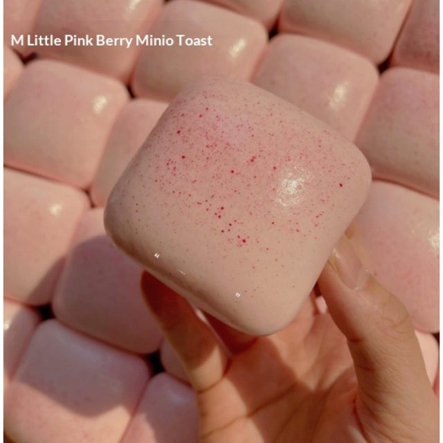 Pink Berry Mini Toast Squishy