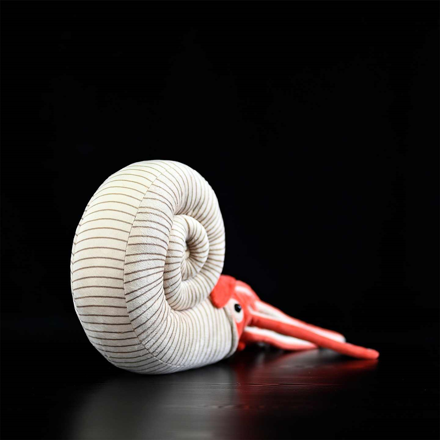 Realistic Ammonite Sea Creature Plush โ photo 2