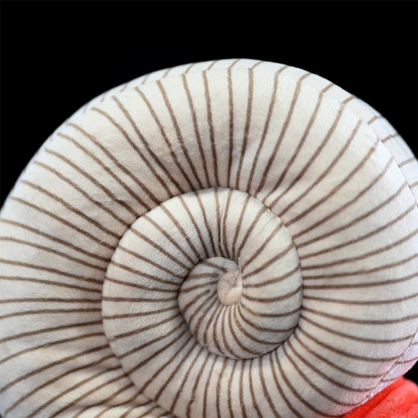 Realistic Ammonite Sea Creature Plush โ photo 4