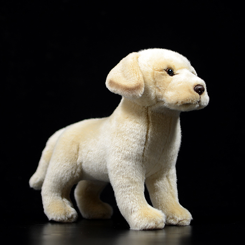 Lifelike Labrador Puppy Plush โ photo 4