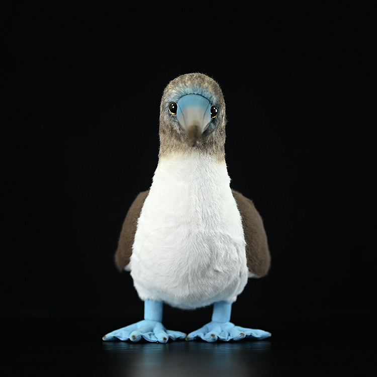 Realistic Blue-Footed Booby Bird Plush — photo 5