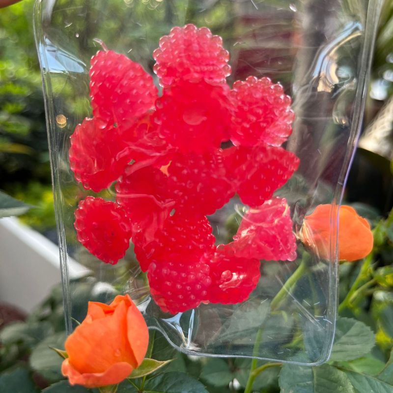 Squishy Raspberry Water Bead Splat Toys