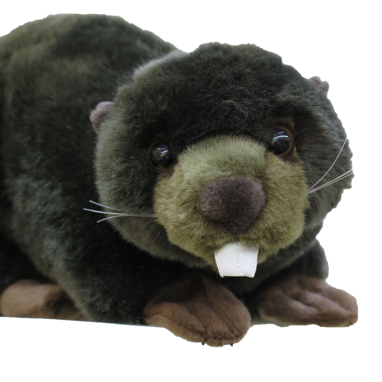Lifelike Beaver Plush โ photo 2