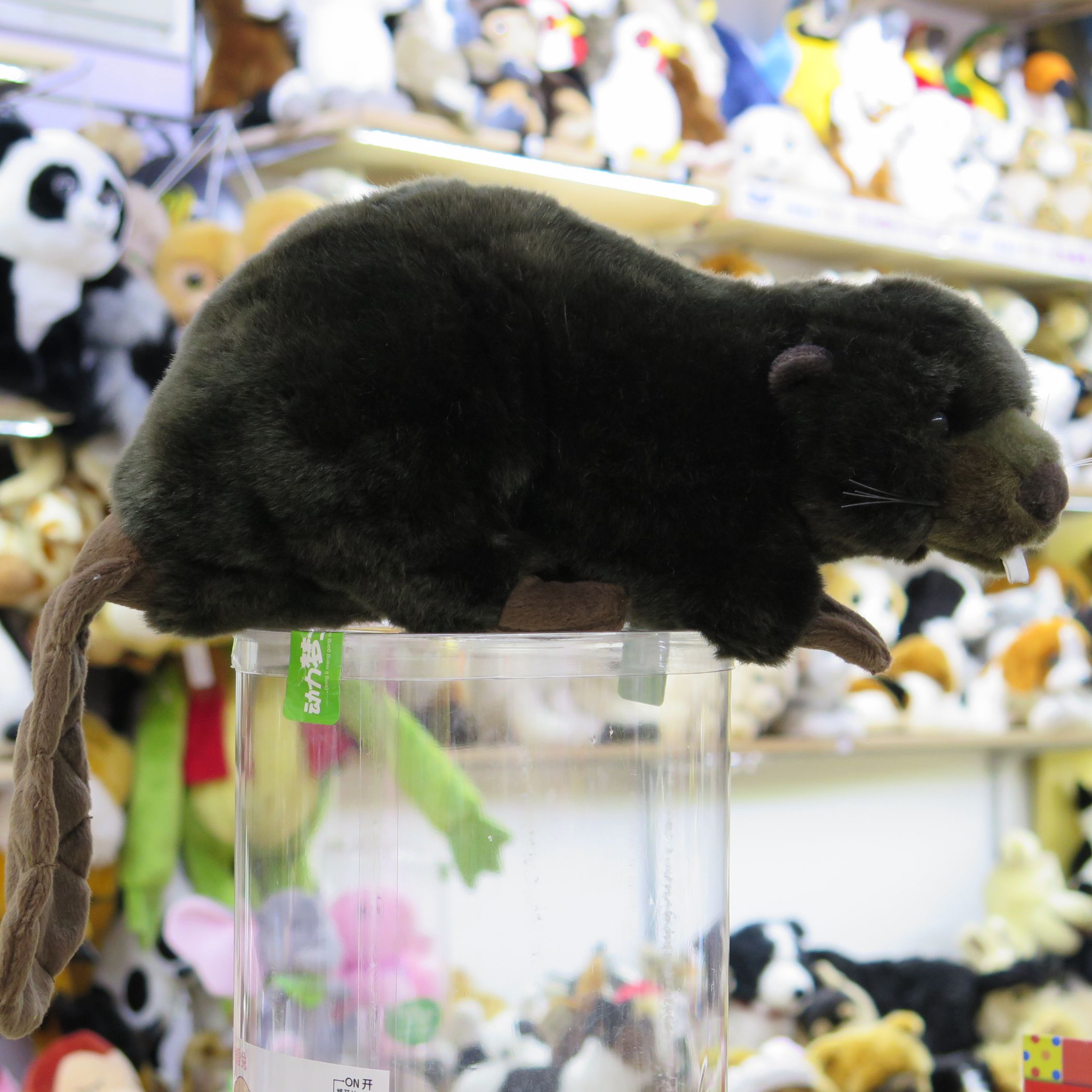 Lifelike Beaver Plush โ photo 3