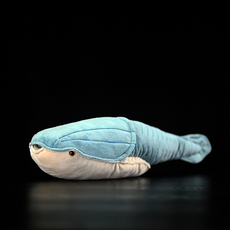 Lifelike Whale Shark Plush โ photo 5