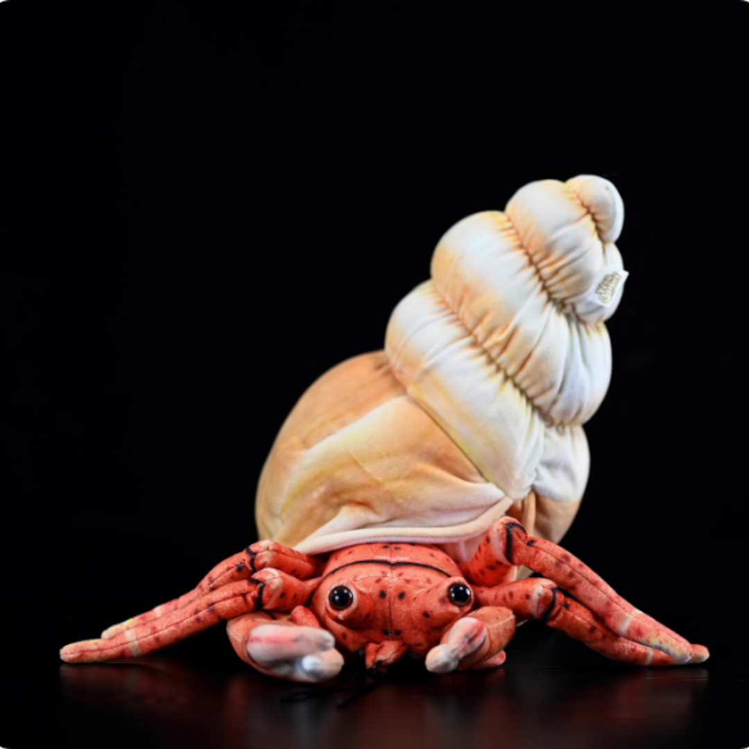 Realistic Hermit Crab In Spiral Shell Plush โ photo 3