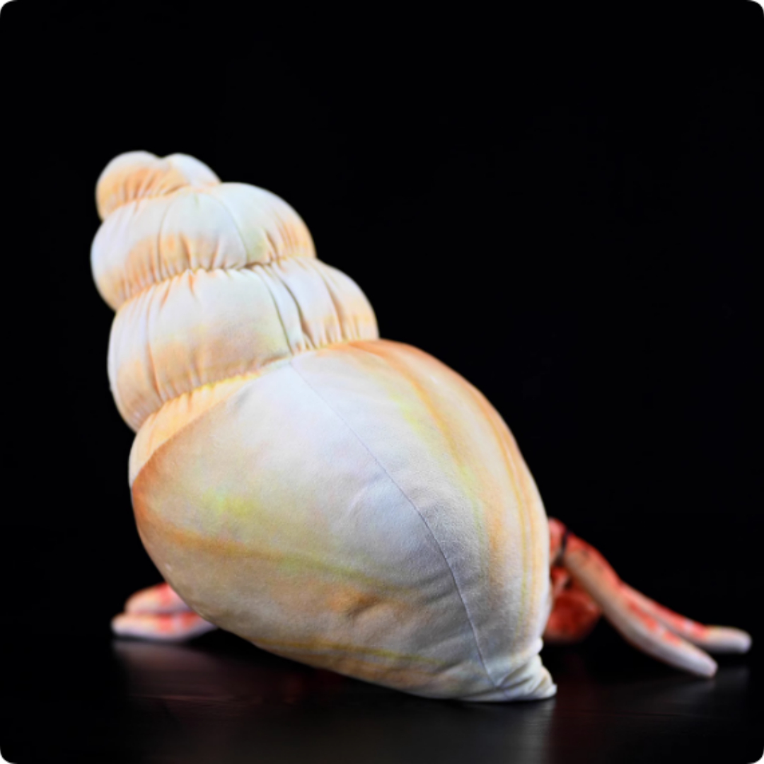 Realistic Hermit Crab In Spiral Shell Plush โ photo 4