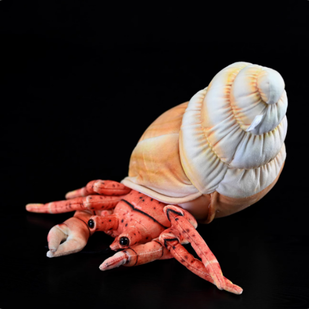 Realistic Hermit Crab In Spiral Shell Plush โ photo 5