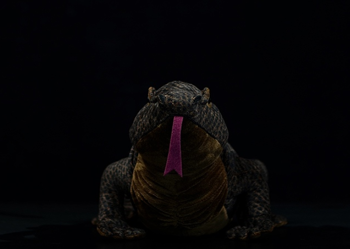 Realistic Komodo Dragon Lizard Plush — photo 2