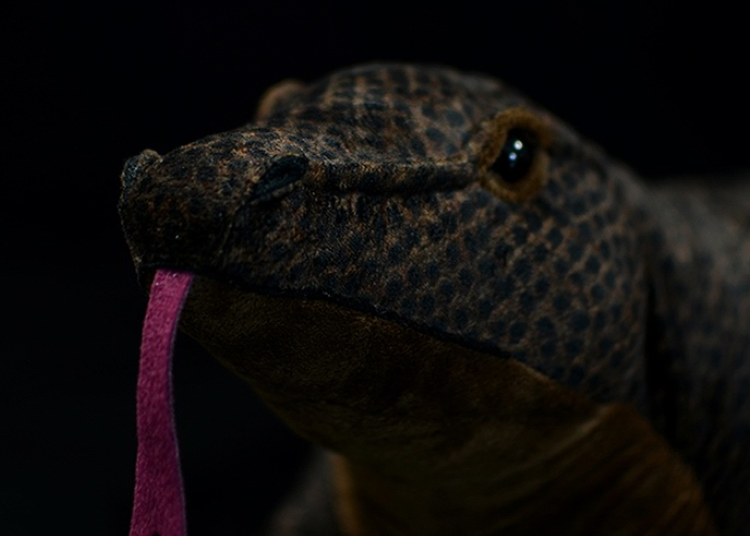Realistic Komodo Dragon Lizard Plush — photo 5