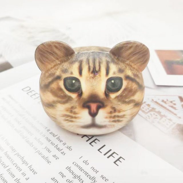 Slow-Rise Realistic Tabby Cat Head Squishy