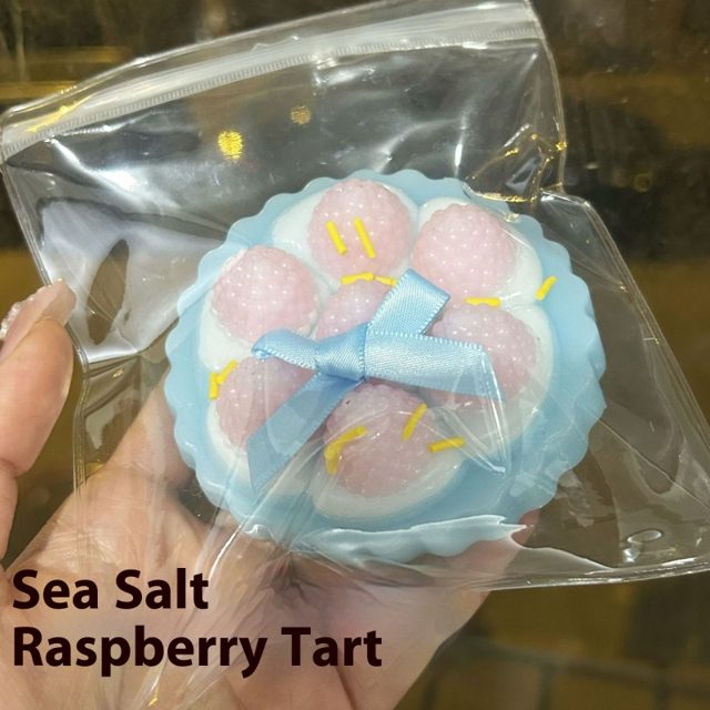 Sea Salt Raspberry Tart Squishy
