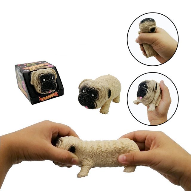 Stretchy Squishy Pug
