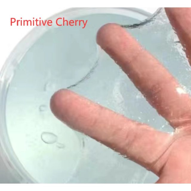 Crystal Clear Jelly Slime โ photo 2
