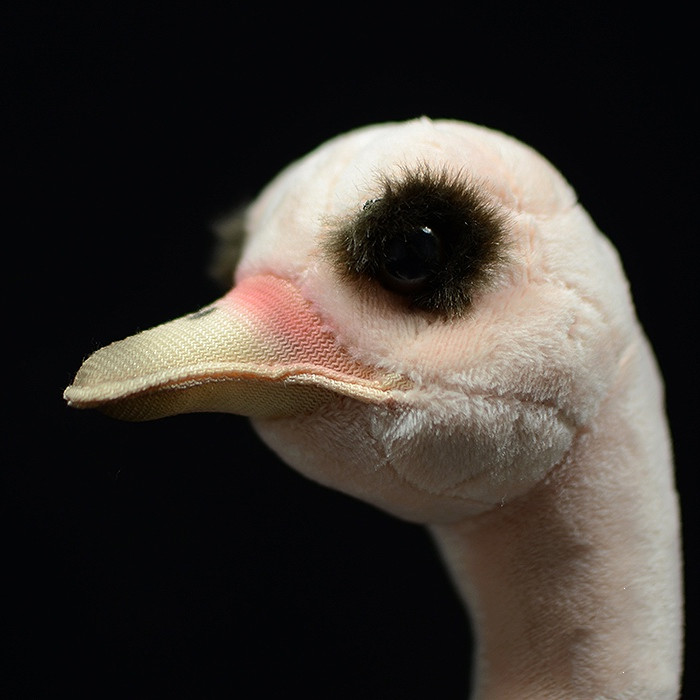 Lifelike African Ostrich Plush โ photo 4
